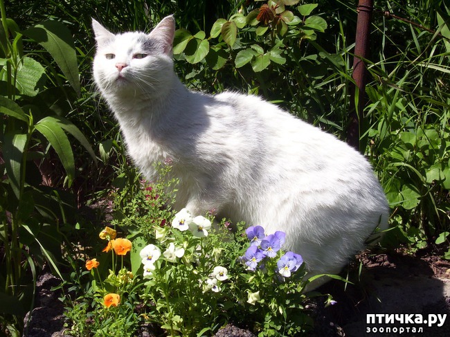 ���� 2: ������������ � ��������� ���������. ������� ������