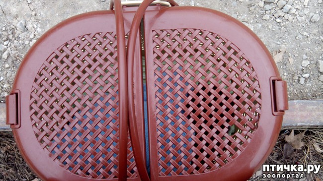 ���� 3: �� ���-�� ����