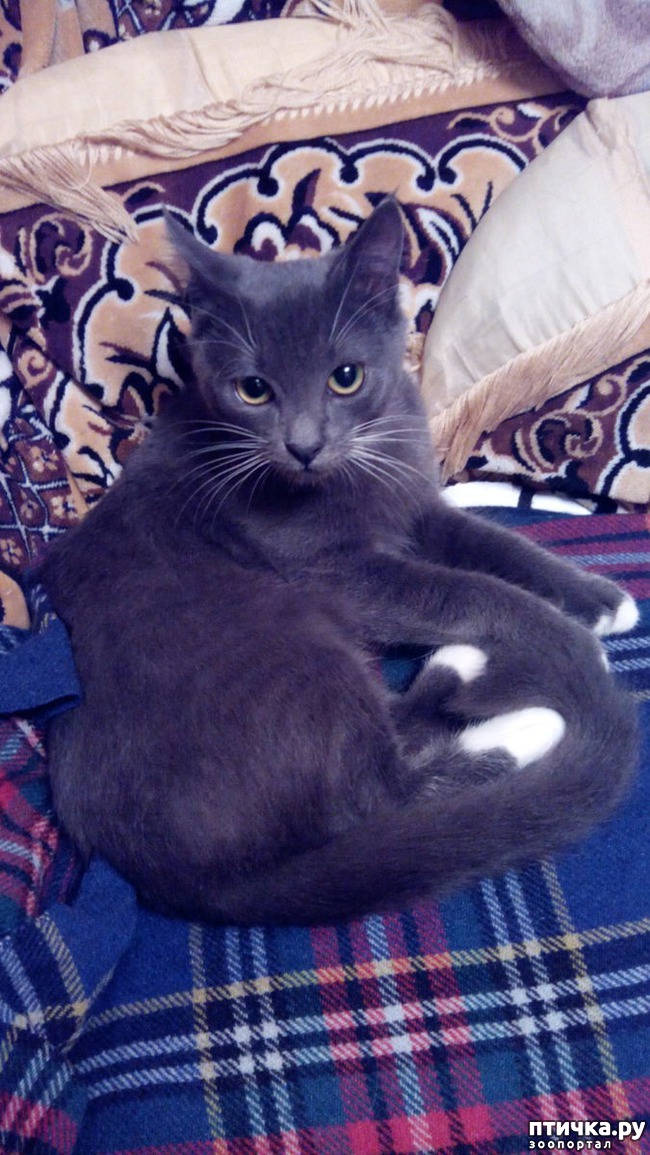 ���� 5: �� ���-�� ����