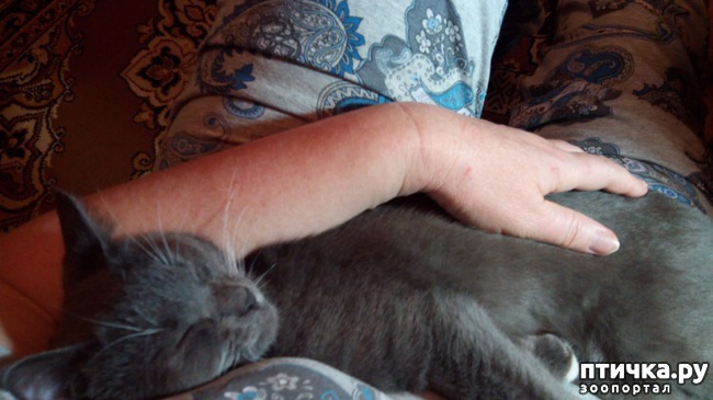 ���� 7: �� ���-�� ����