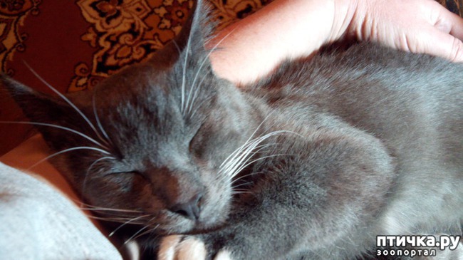 ���� 8: �� ���-�� ����