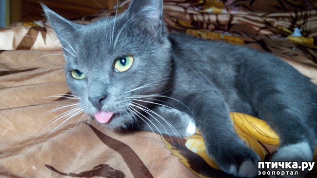 ���� 4: �� ���-�� ����