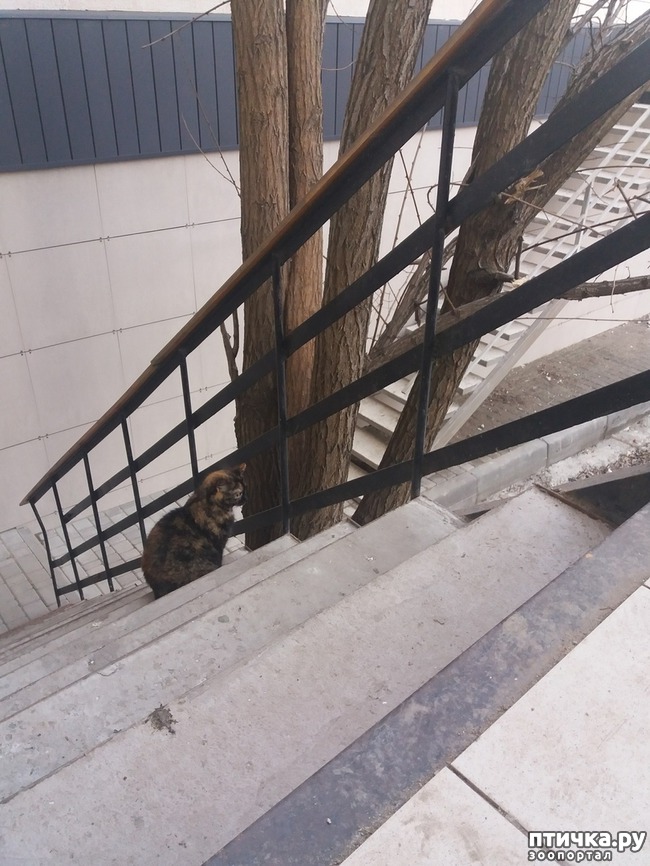 ���� 1: ��� �������� �� �����