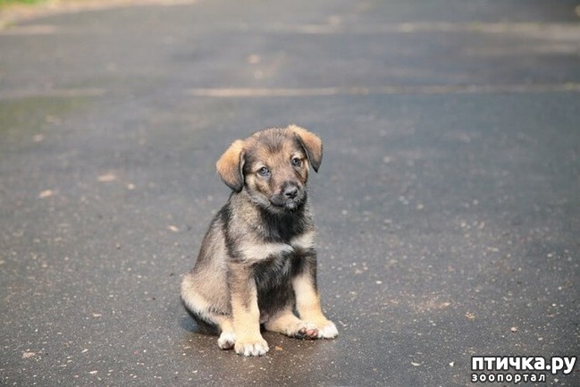 ���� 2: ������������� ������� � ���, ��� ������ ��� ���� � �������� � ��������