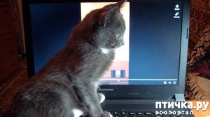 ����: ��� �� ���� �������?