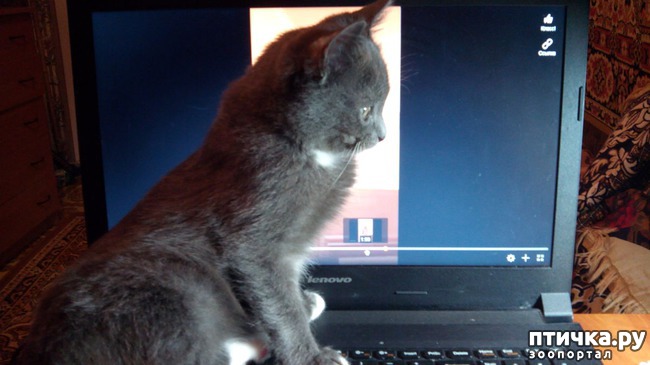 ���� 1: ��� �� ���� �������?