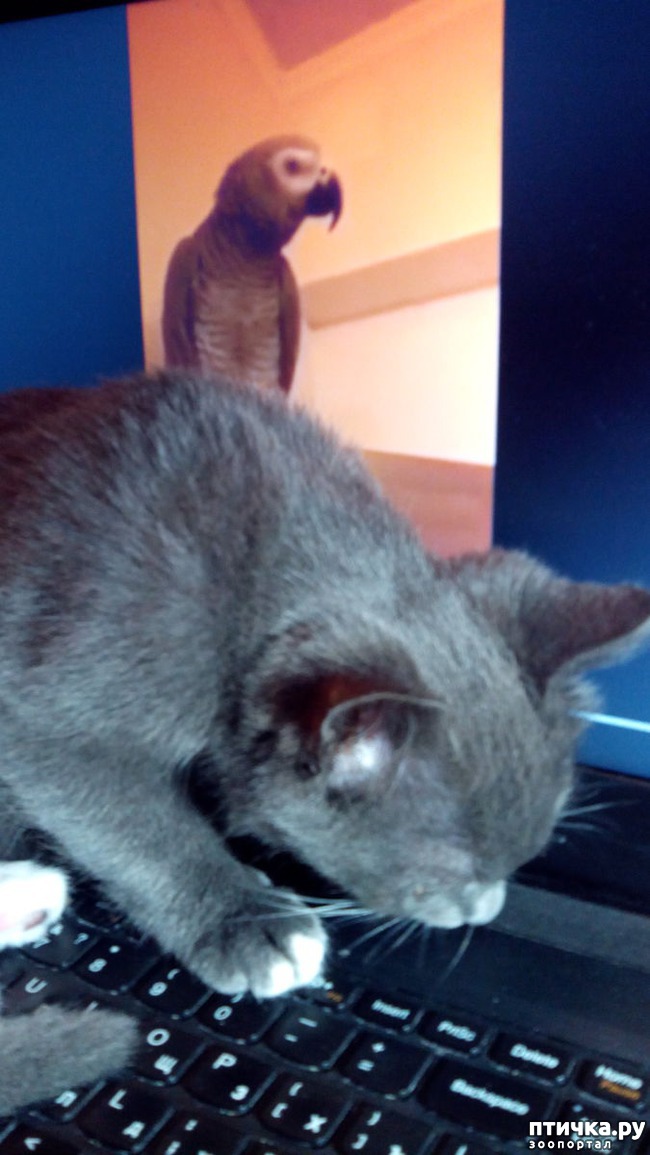 ���� 2: ��� �� ���� �������?