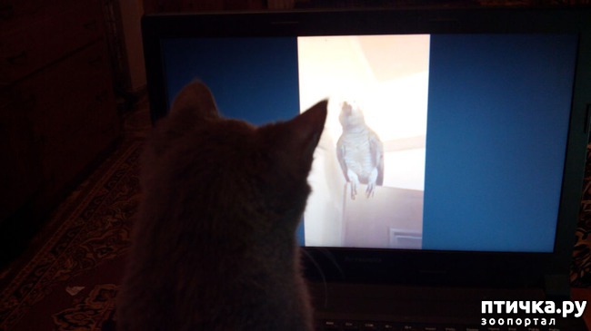 ���� 3: ��� �� ���� �������?