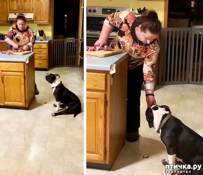 ���� 3: 14 �������, ������� ���� ������ �������� ��������, � ������ �� ����� ��� ��� ����