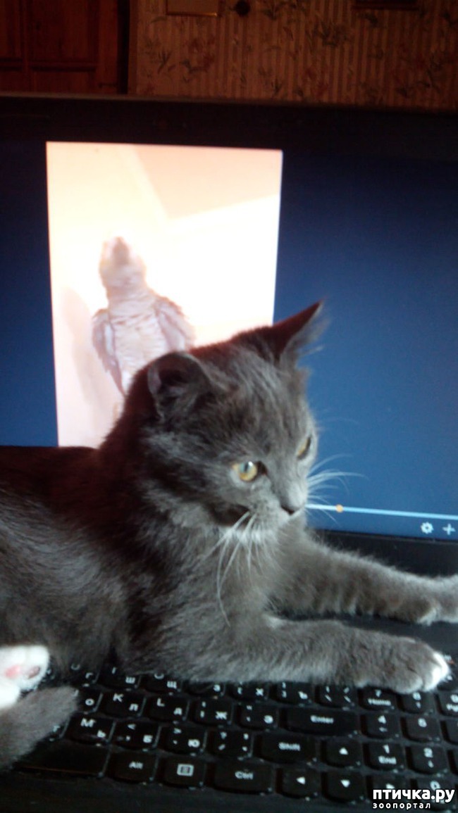 ���� 4: ��� �� ���� �������?