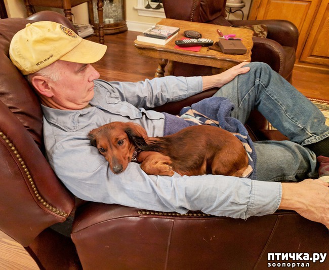 ���� 4: 14 �������, ������� ���� ������ �������� ��������, � ������ �� ����� ��� ��� ����