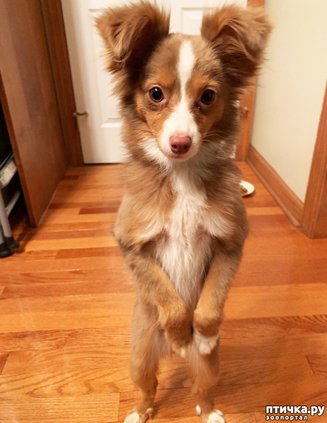 ���� 5: 14 �������, ������� ���� ������ �������� ��������, � ������ �� ����� ��� ��� ����