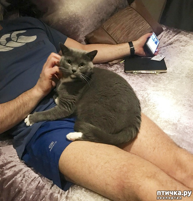 ���� 6: 14 �������, ������� ���� ������ �������� ��������, � ������ �� ����� ��� ��� ����