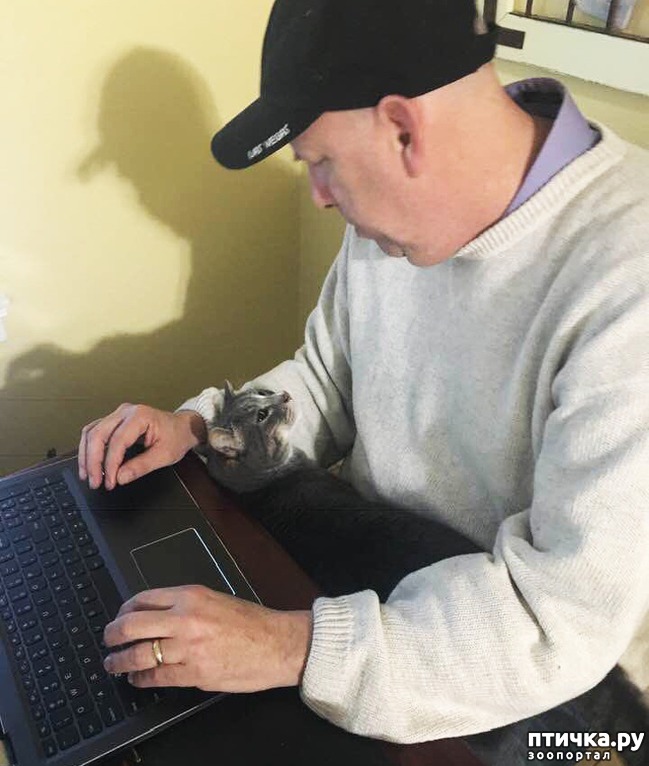 ���� 8: 14 �������, ������� ���� ������ �������� ��������, � ������ �� ����� ��� ��� ����