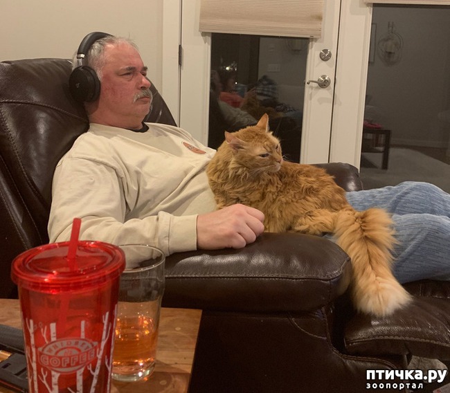 ���� 9: 14 �������, ������� ���� ������ �������� ��������, � ������ �� ����� ��� ��� ����