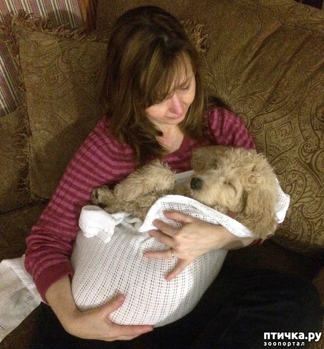 ���� 10: 14 �������, ������� ���� ������ �������� ��������, � ������ �� ����� ��� ��� ����