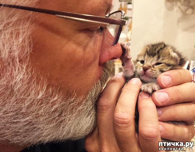 ���� 11: 14 �������, ������� ���� ������ �������� ��������, � ������ �� ����� ��� ��� ����