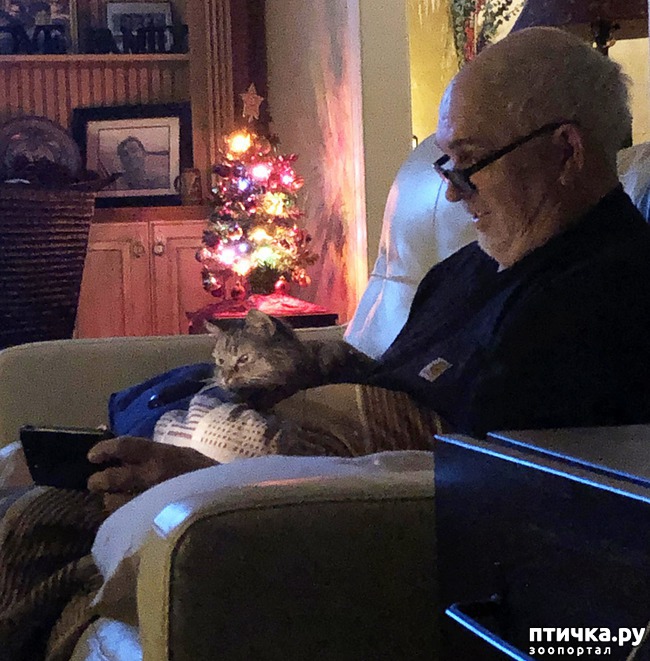 ���� 12: 14 �������, ������� ���� ������ �������� ��������, � ������ �� ����� ��� ��� ����