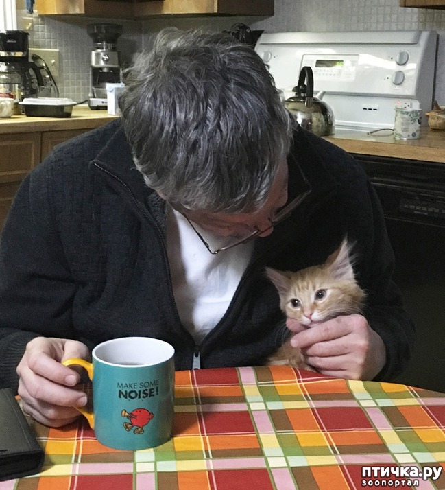 ���� 13: 14 �������, ������� ���� ������ �������� ��������, � ������ �� ����� ��� ��� ����