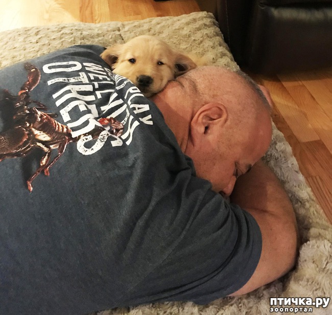 ���� 14: 14 �������, ������� ���� ������ �������� ��������, � ������ �� ����� ��� ��� ����