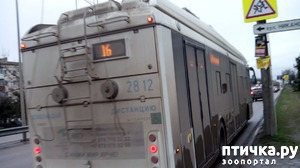 ����: �� � ���������!