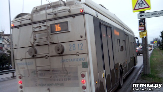 ���� 1: �� � ���������!