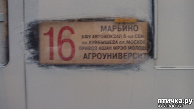 ���� 2: �� � ���������!