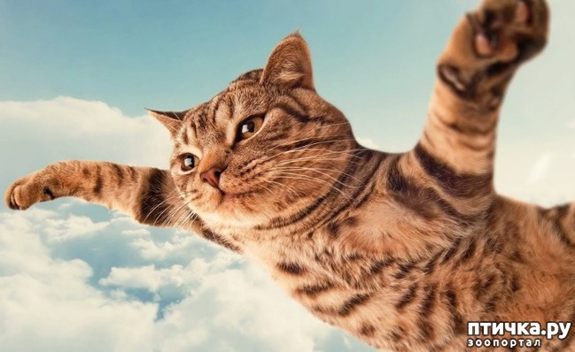 ���� 1: �. �������, �. �������: ������� �� ���� ������� ��� ���� �������