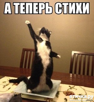 ����: �����������: ��� ����� ���������!