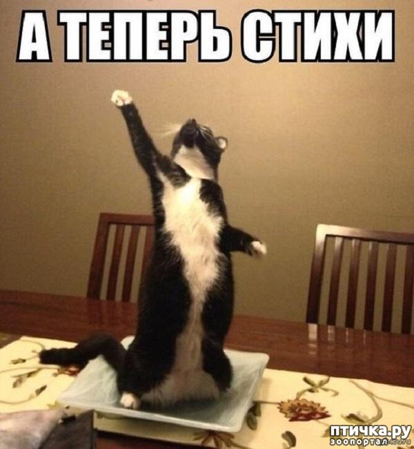 ���� 1: �����������: ��� ����� ���������!