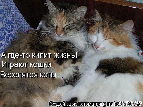 ���� 3: �����������: ��� ����� ���������!