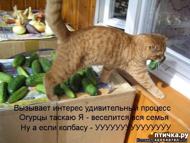 ���� 4: �����������: ��� ����� ���������!