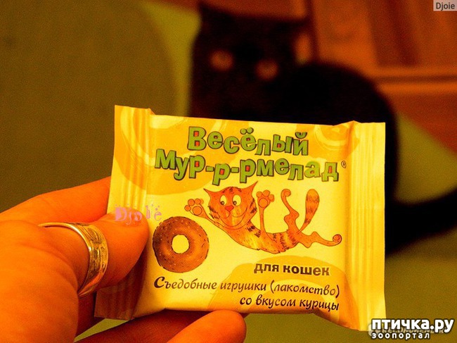 ���� 5: �����������: ��� ����� ���������!