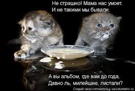 ���� 6: �����������: ��� ����� ���������!