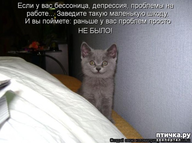 ���� 7: �����������: ��� ����� ���������!