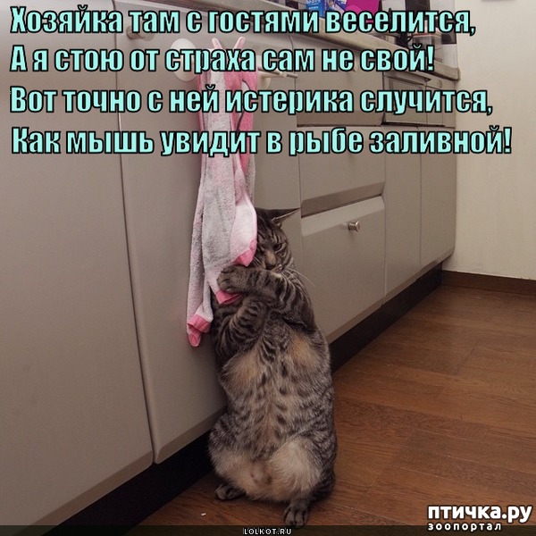 ���� 8: �����������: ��� ����� ���������!