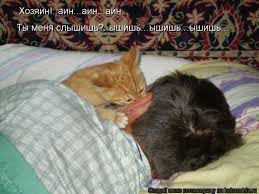 ���� 9: �����������: ��� ����� ���������!