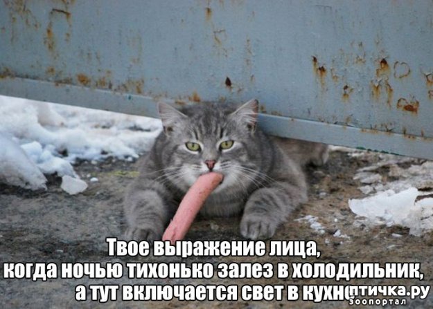 ���� 13: �����������: ��� ����� ���������!