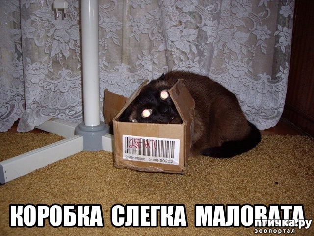 ���� 14: �����������: ��� ����� ���������!