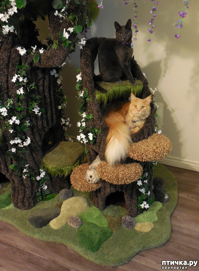 ���� 9: ���������� �������� ����� ������ ��������� ������� ������