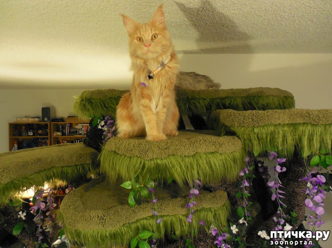 ���� 10: ���������� �������� ����� ������ ��������� ������� ������