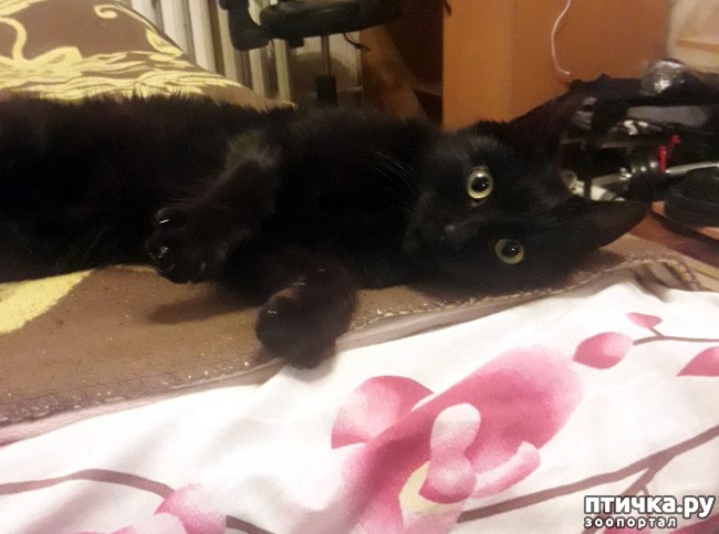 ���� 1: ���.