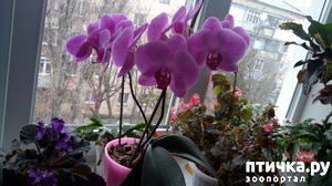 ����: ������ ��������