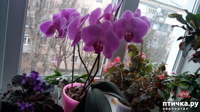 ���� 1: ������ ��������