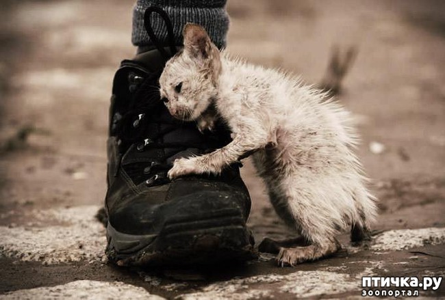 ���� 1: ������������ ������� �� ��������� ����. ���� �������� �������></a>