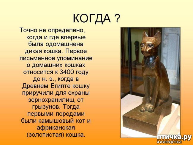 ���� 2: ������� �������