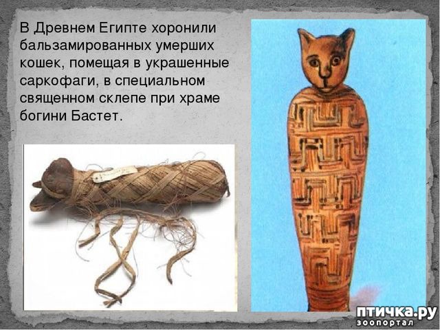 ���� 7: ������� �������