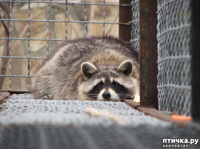 ���� 1: ���������� ��������� ���.