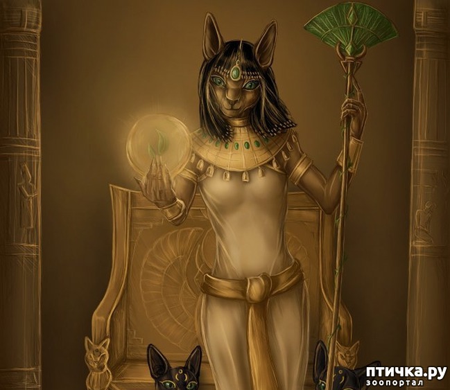 ���� 9: ������� �������