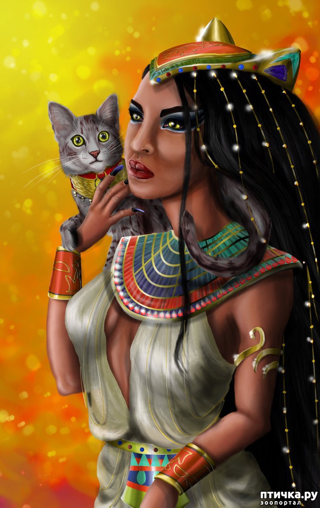 ���� 10: ������� �������